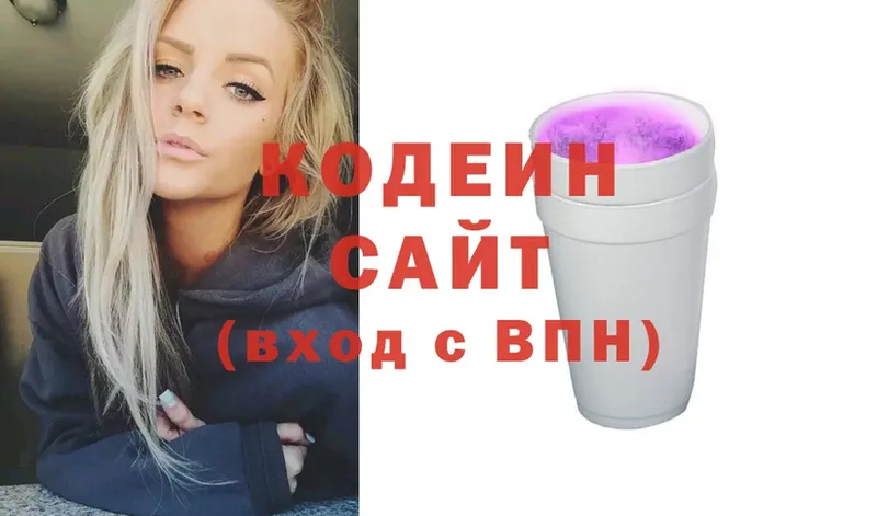 дарнет шоп  Змеиногорск  Кодеиновый сироп Lean Purple Drank 